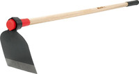Bellota